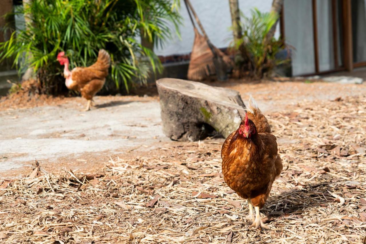 Aldea Sabatinga Villa Manizales Ngoại thất bức ảnh