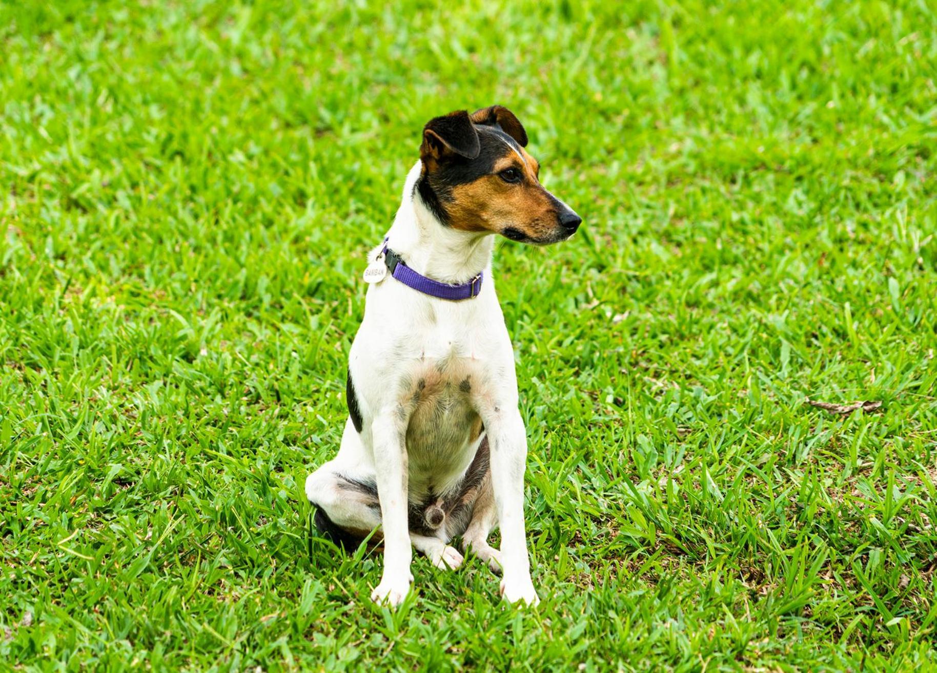 Aldea Sabatinga Villa Manizales Ngoại thất bức ảnh