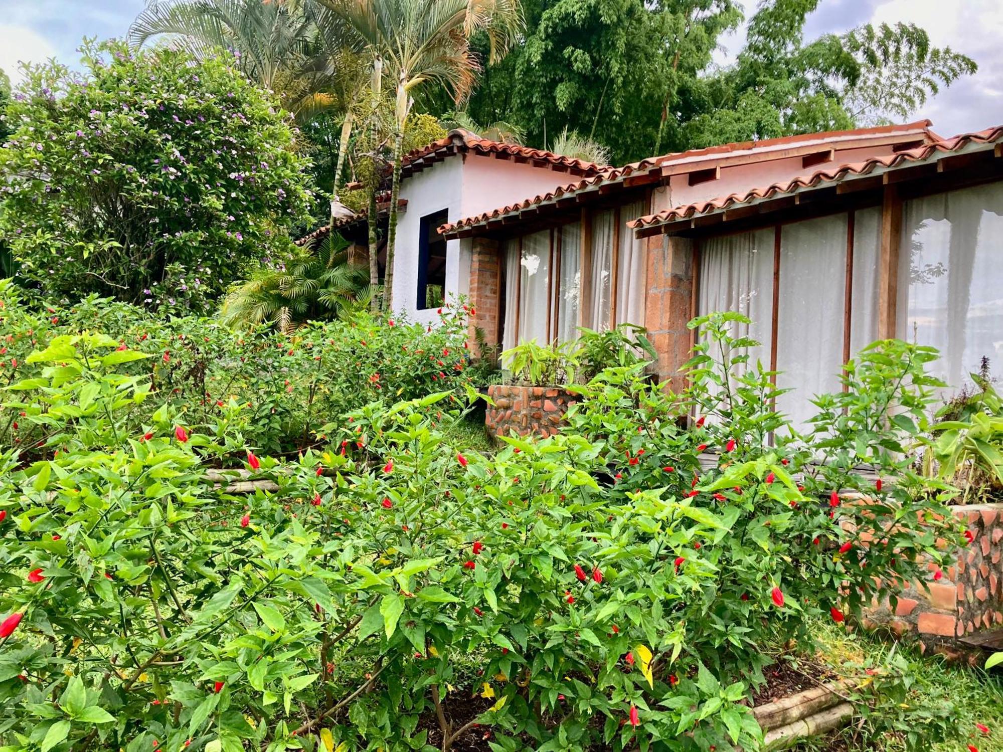 Aldea Sabatinga Villa Manizales Ngoại thất bức ảnh