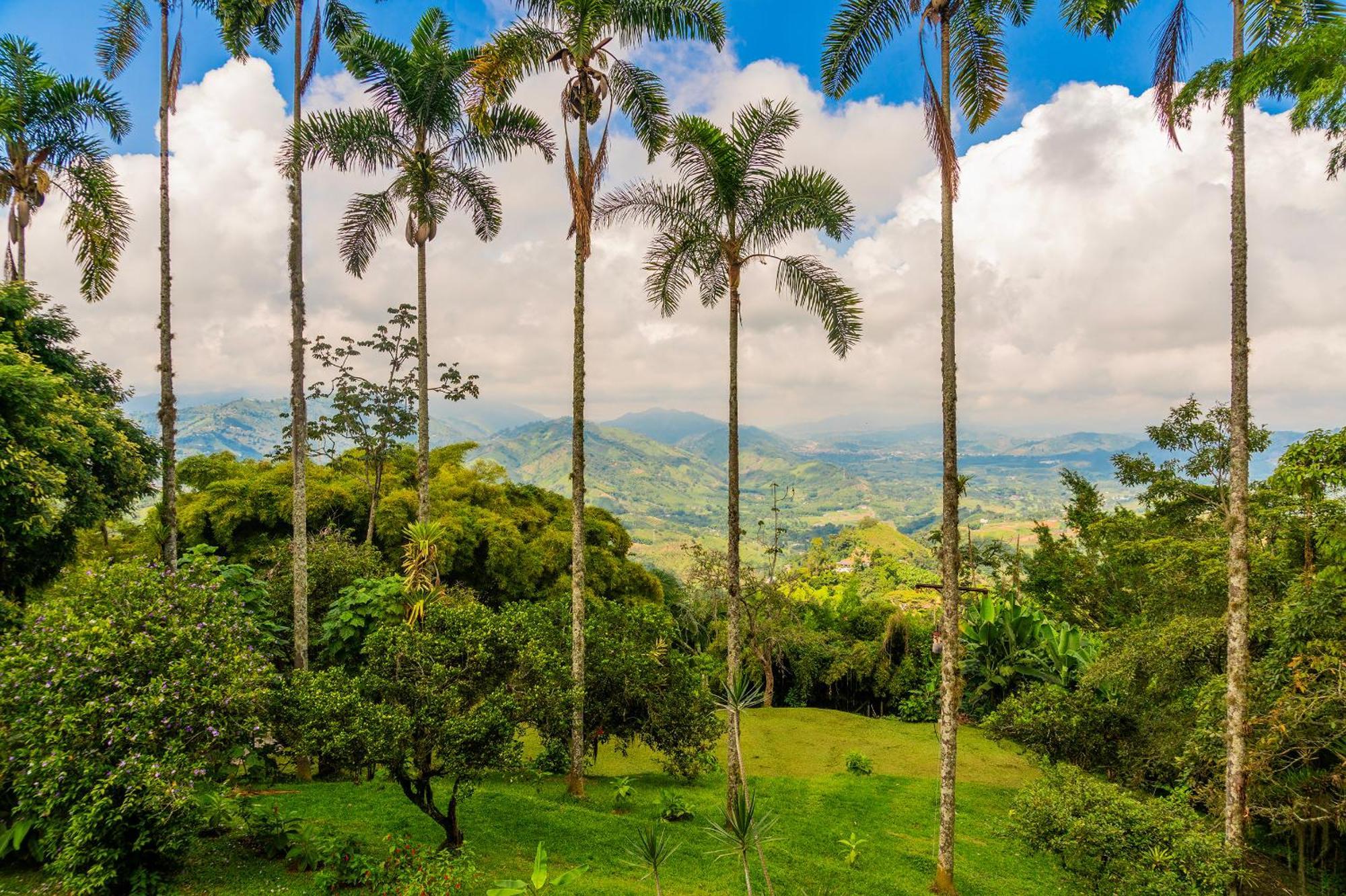 Aldea Sabatinga Villa Manizales Ngoại thất bức ảnh