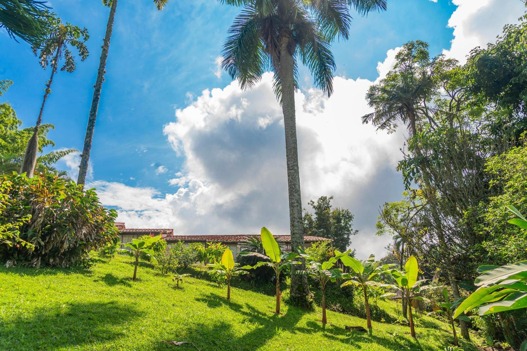 Aldea Sabatinga Villa Manizales Ngoại thất bức ảnh