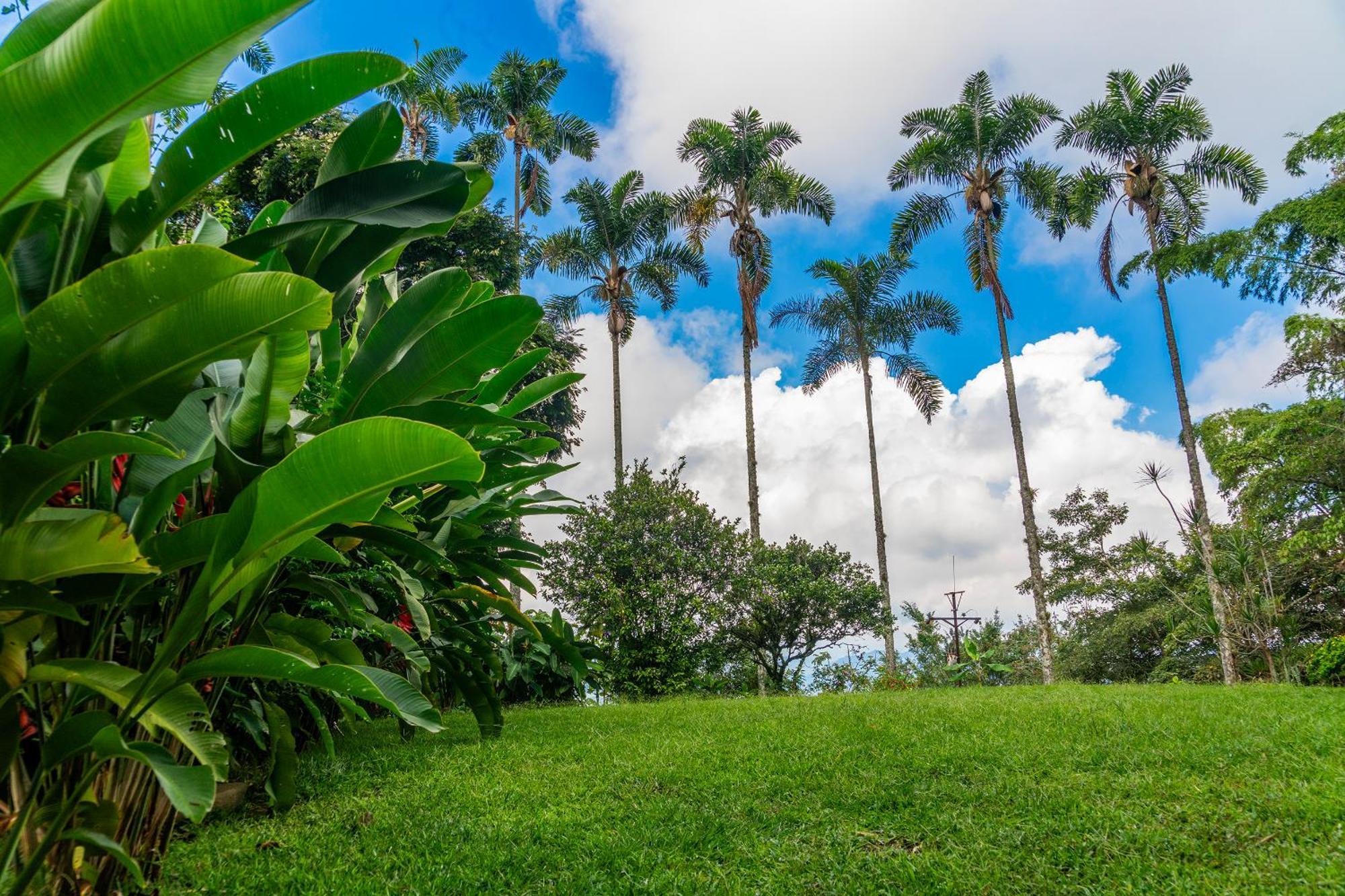 Aldea Sabatinga Villa Manizales Ngoại thất bức ảnh